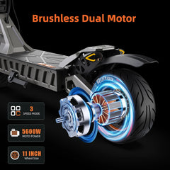 Ruitoo M6 Max Dual Motor Scooter - 5600W, 60V, Fast Charging