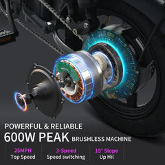 Eoeotwo 30 MPH Folding Ebike - Lithium Battery, 14-Inch Wheels