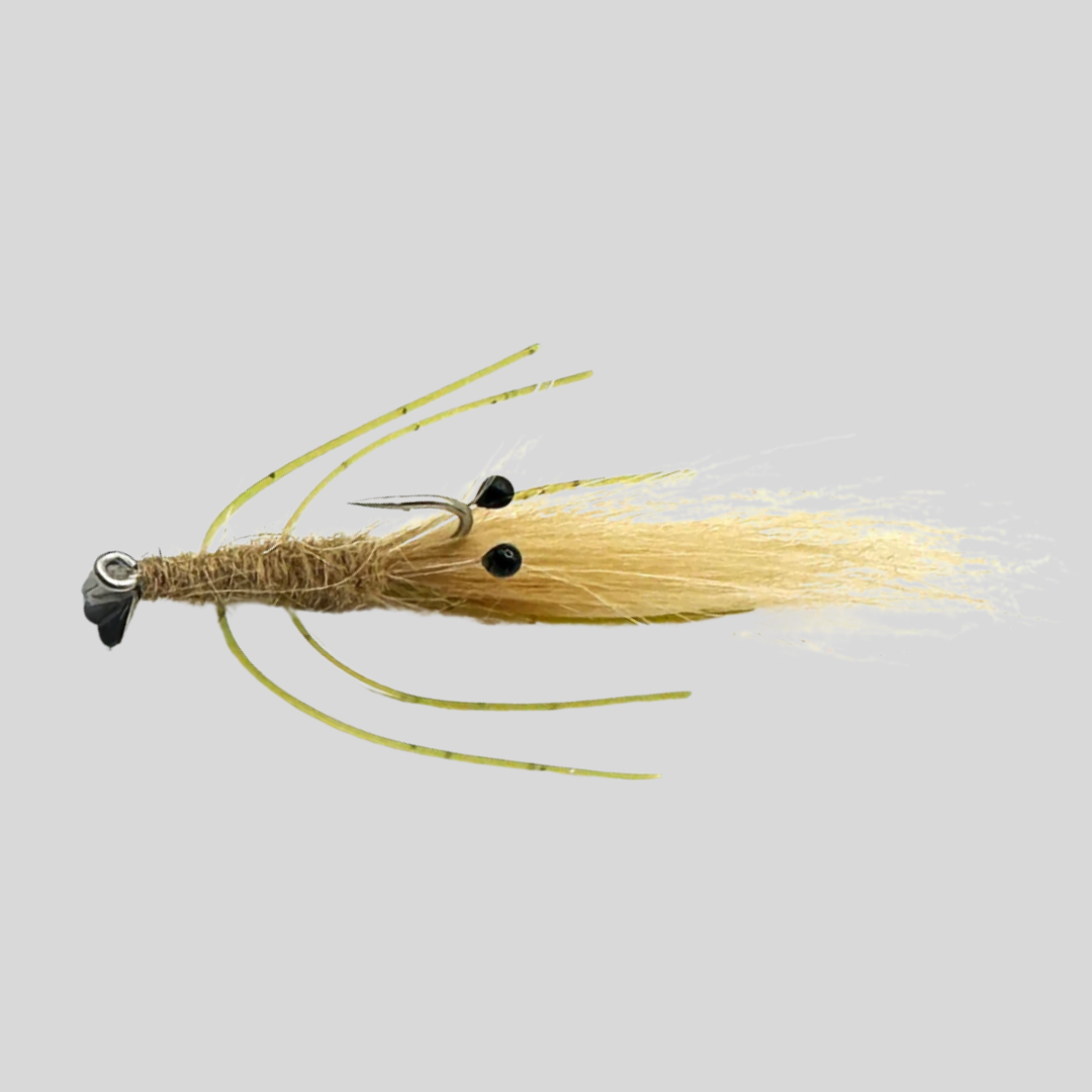 Fish-Skull® Mantis Shrimp
