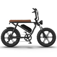 750W Electric Bike, 48V 13Ah Lithium Battery, Aluminum Frame