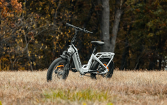 Rambo Bikes | Ranger E-Bike 48V 10.4Ah 750W