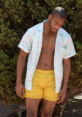 Unisex 'Golden Cathedral' Mid-Length Swim Short