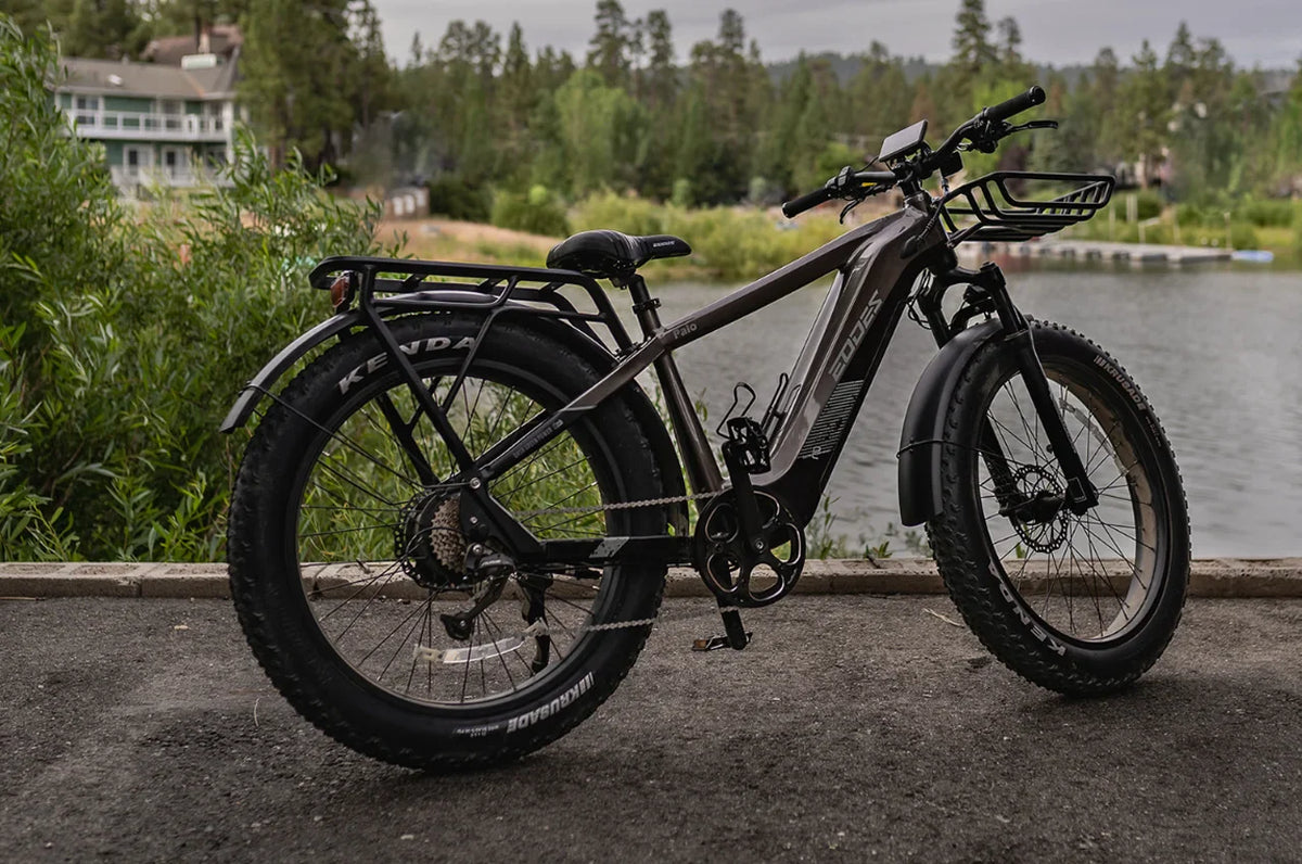 Eddes Palo eBike with 52V 750W Motor, 17Ah Long Range