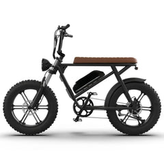 750W Electric Bike, 48V 13Ah Lithium Battery, Aluminum Frame