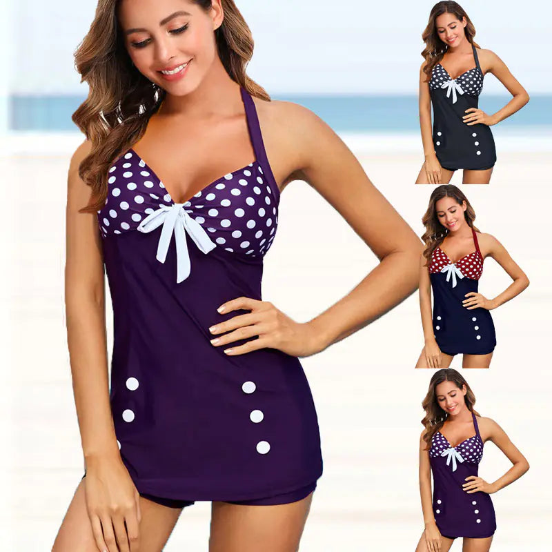 Women's Plus Size Two-Piece Swim Dress