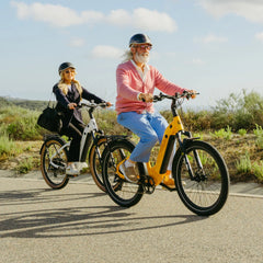 VTUVIA | Zeal LT7 E-Bike 48V 13Ah 500W