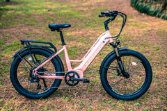Eunroau | META26 1.0 E-Bike 48V 15Ah 500W
