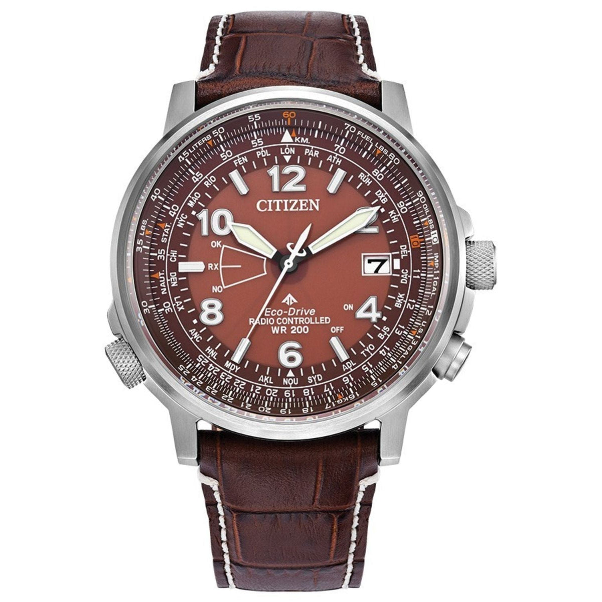 Citizen Men's Eco Skjy - Brown Dial - 200m
