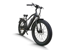 48V, 15.6Ah, 750W Fat Tire E-Bike