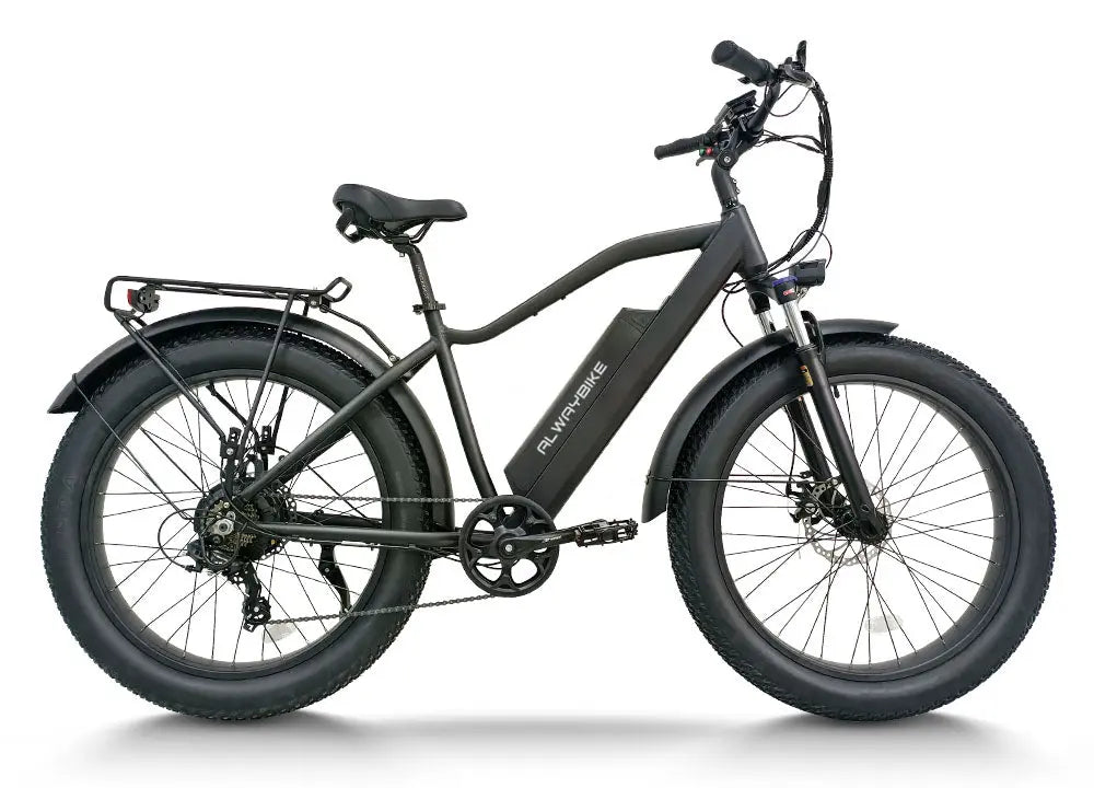 48V, 15.6Ah, 750W Fat Tire E-Bike