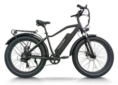 48V, 15.6Ah, 750W Fat Tire E-Bike