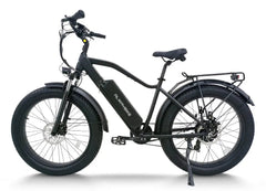 48V, 15.6Ah, 750W Fat Tire E-Bike