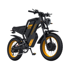 48V 40Ah 3000W Dual Motor Fat Tire Electric Bike