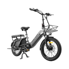 48V 20Ah 1300W Electric All-Terrain Cargo Bike