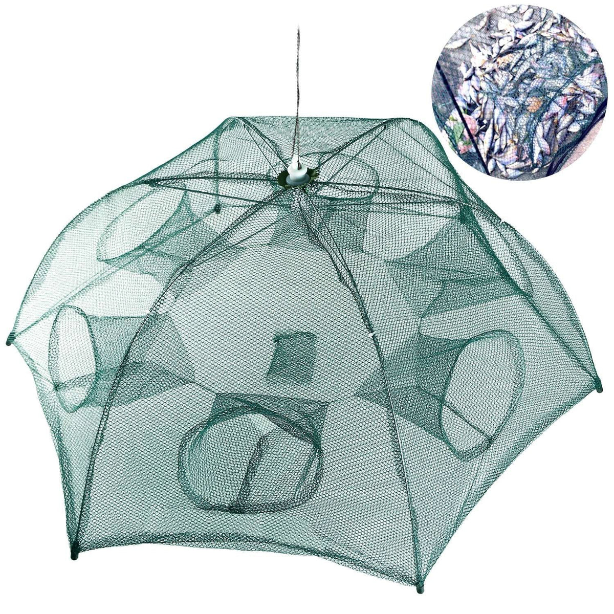 Berry Charmz Fishing Trap Net Portable, Folded, Shrimp, Minnow, Crab