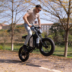 2000W 48V 35Ah Electric Bike