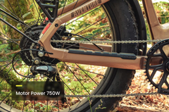 Aventon | Aventure 3 Step-Through E-Bike 36V 20Ah 750W