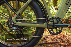 Aventon | Aventure 3 E-Bike 36V 20Ah 750W