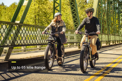 Aventon | Aventure 3 Step-Through E-Bike 36V 20Ah 750W