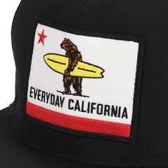 Everyday California Unisex Shores Snapback Hat