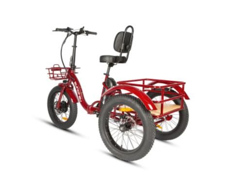 Start eBike New Trike 2.0